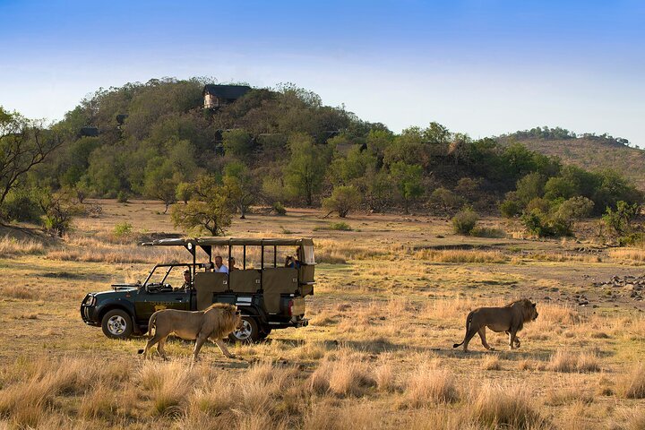 Full Day Pilanesberg Safari Adventure - Photo 1 of 9